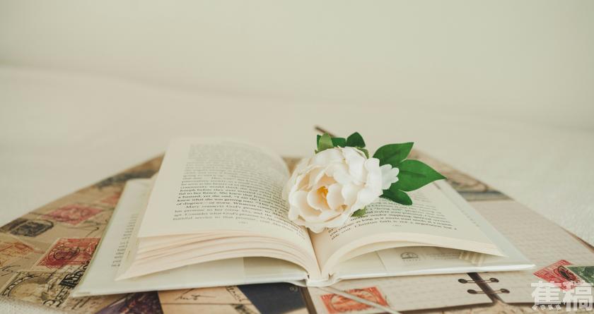 蕉稿查AI率,蕉稿降AIGC,蕉稿查AIGC免费论文查重