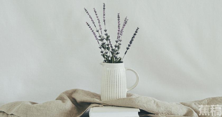 蕉稿查AI率,蕉稿降AIGC,蕉稿查AIGC免费论文查重