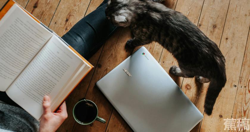 蕉稿查AI率,蕉稿降AIGC,蕉稿查AIGC免费论文查重